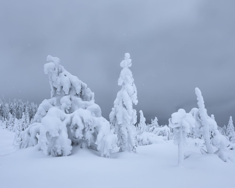 Фотография автора Jørgen Hovde