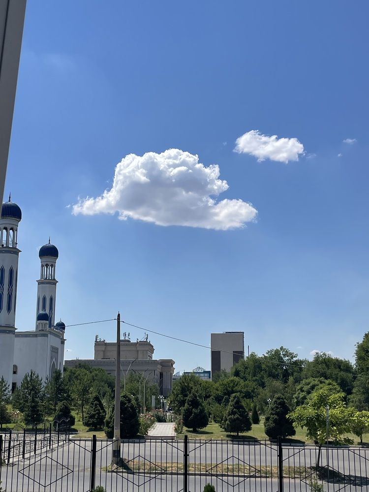 Photograph by Дарья Ларченко