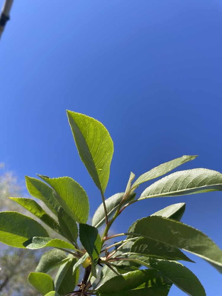 Photograph by Дарья Ларченко