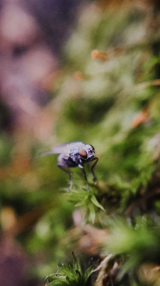 Photograph by Eugenia Blinova