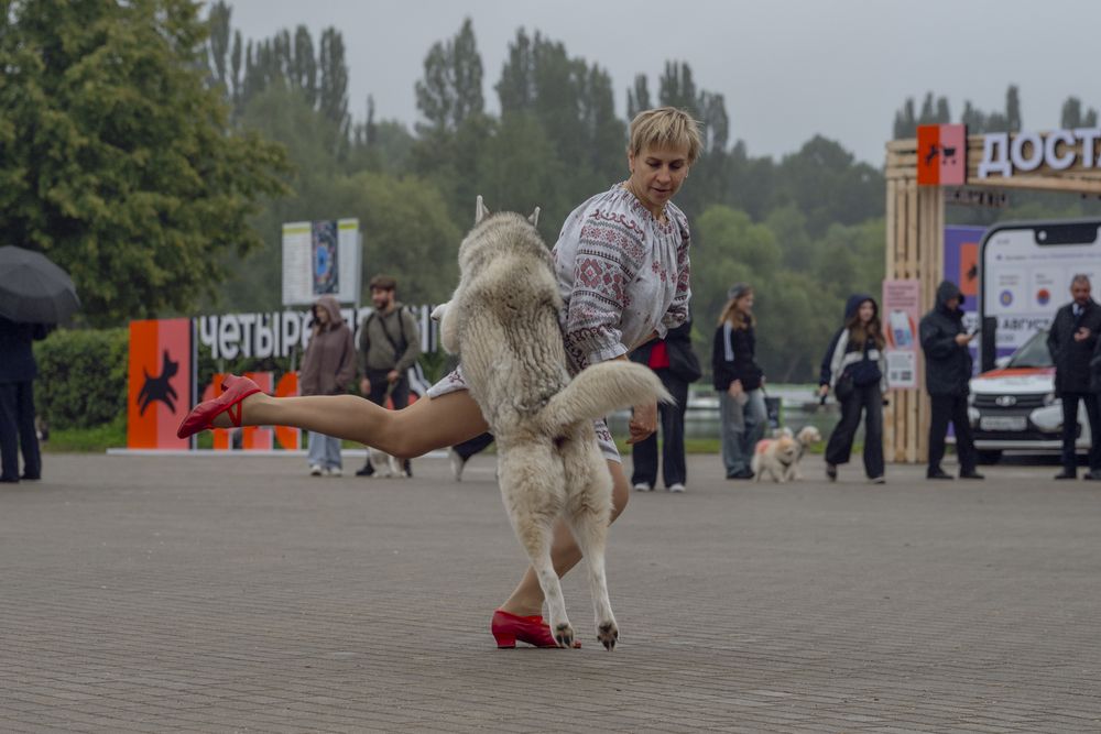 Photograph by Милена Полтавец