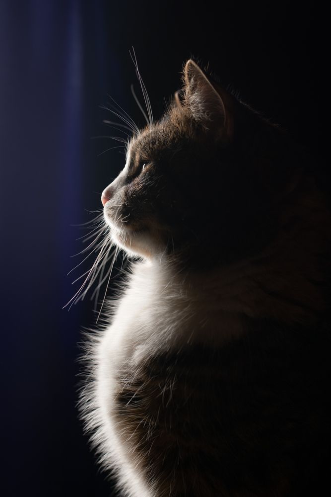 Photograph by Светлана Гантажевская