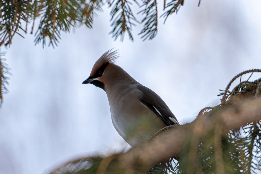 Photograph by Алексей Поликарпов
