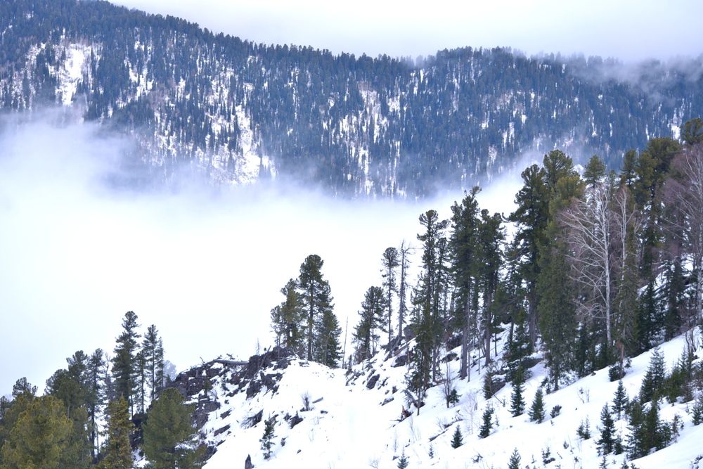 Photograph by Наталья Сорокина