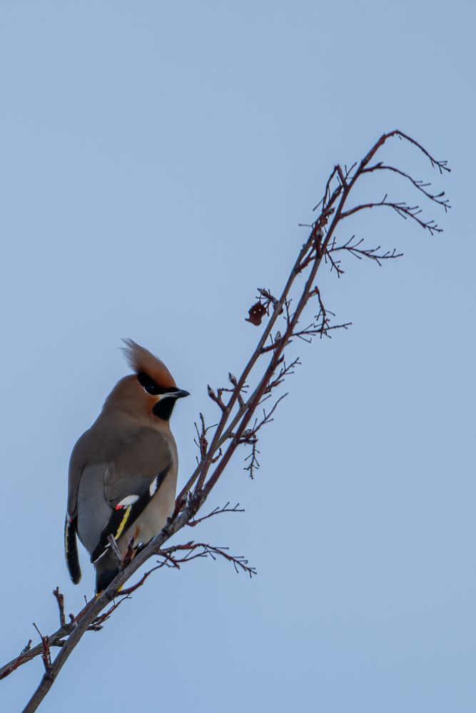Photograph by Алексей Поликарпов