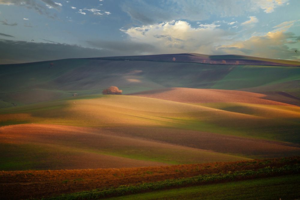 I colori al tramonto