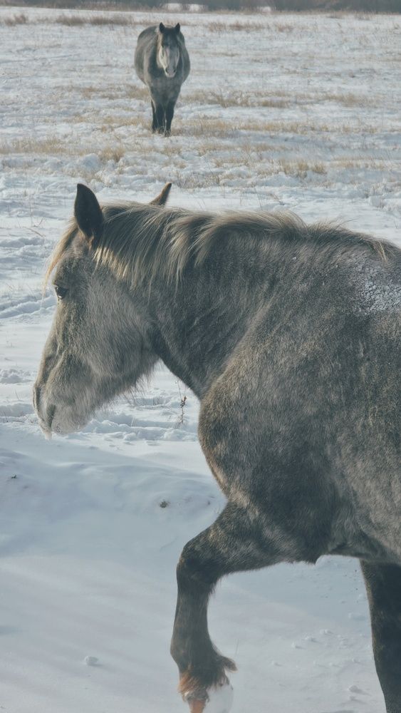 Photograph by Елена Федоткина