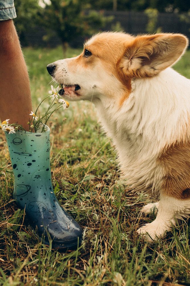 Photograph by Алеся Бутакова