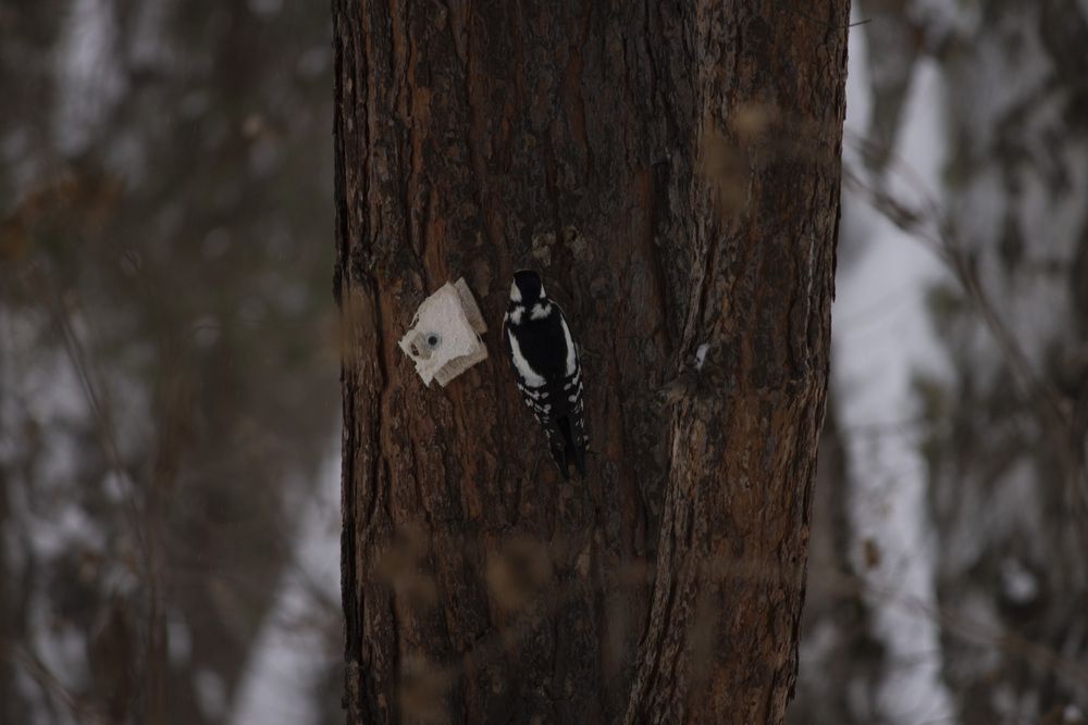 Photograph by Дмитрий Мазурин
