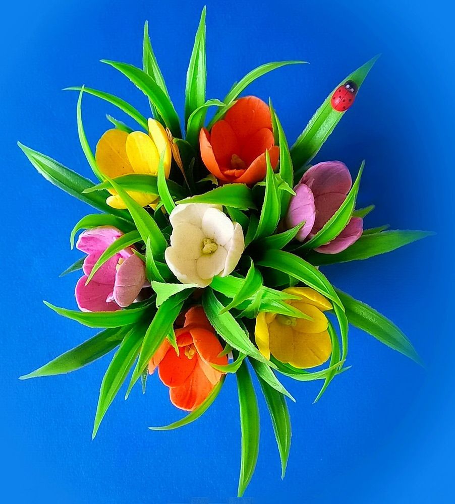 Photograph by Нина