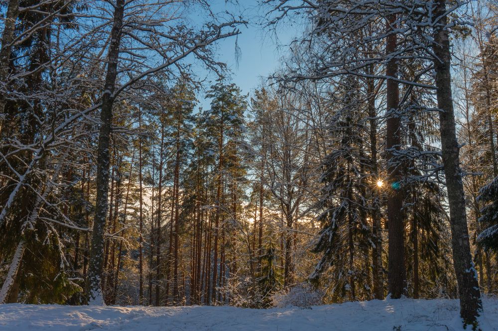 Photograph by Нина Малютина