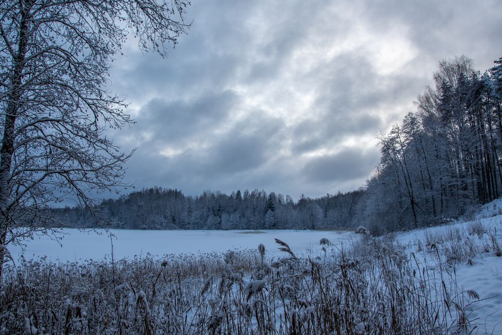 Photograph by Нина Малютина