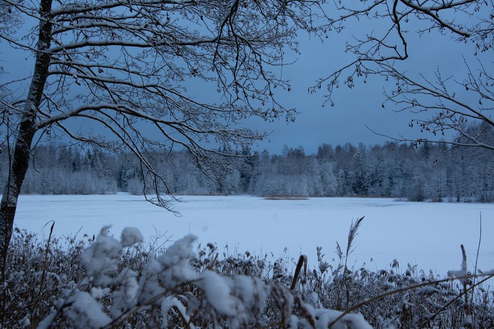 Photograph by Нина Малютина