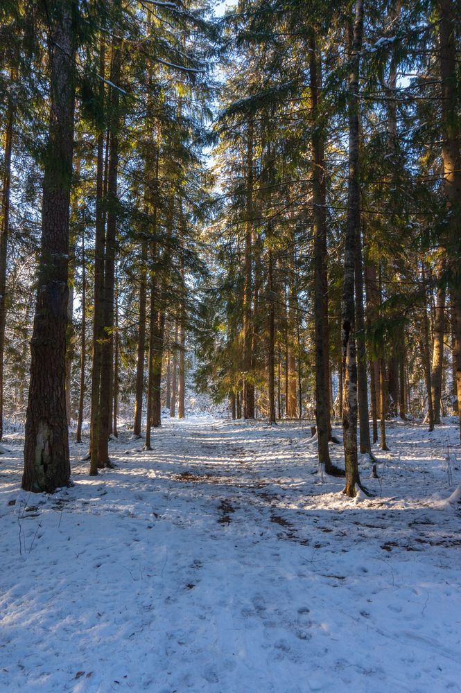 Photograph by Нина Малютина