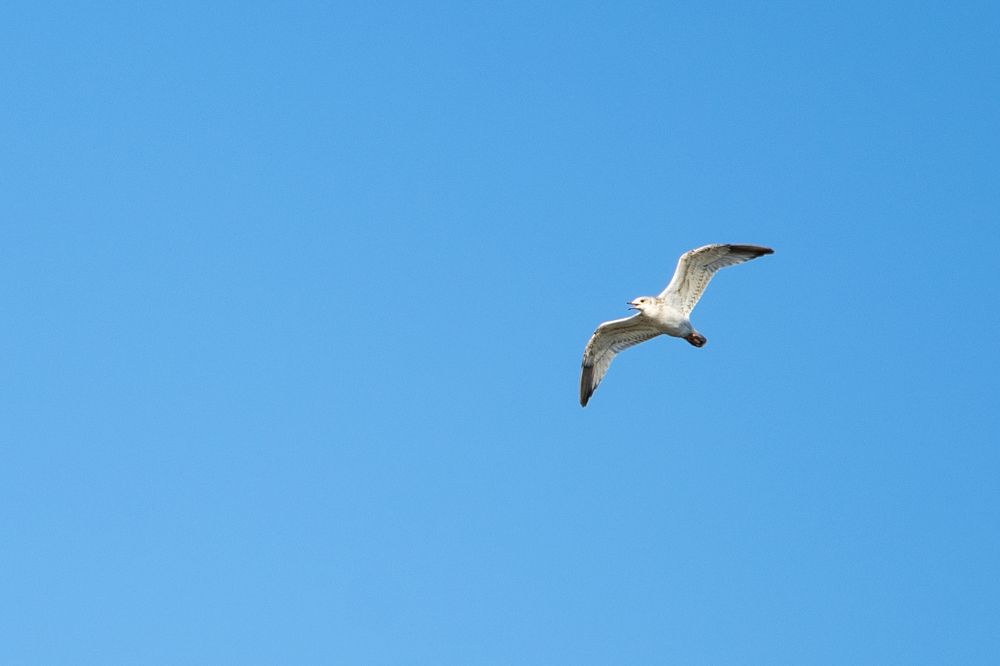 Photograph by Нина Малютина