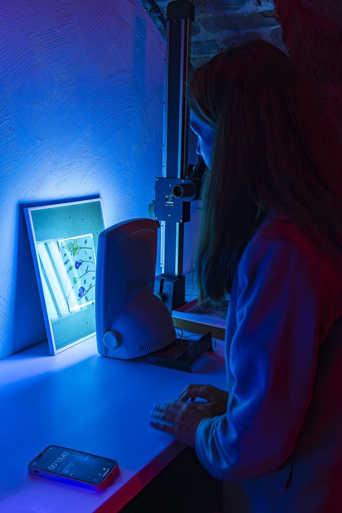 Фотография автора Вадим Копилец