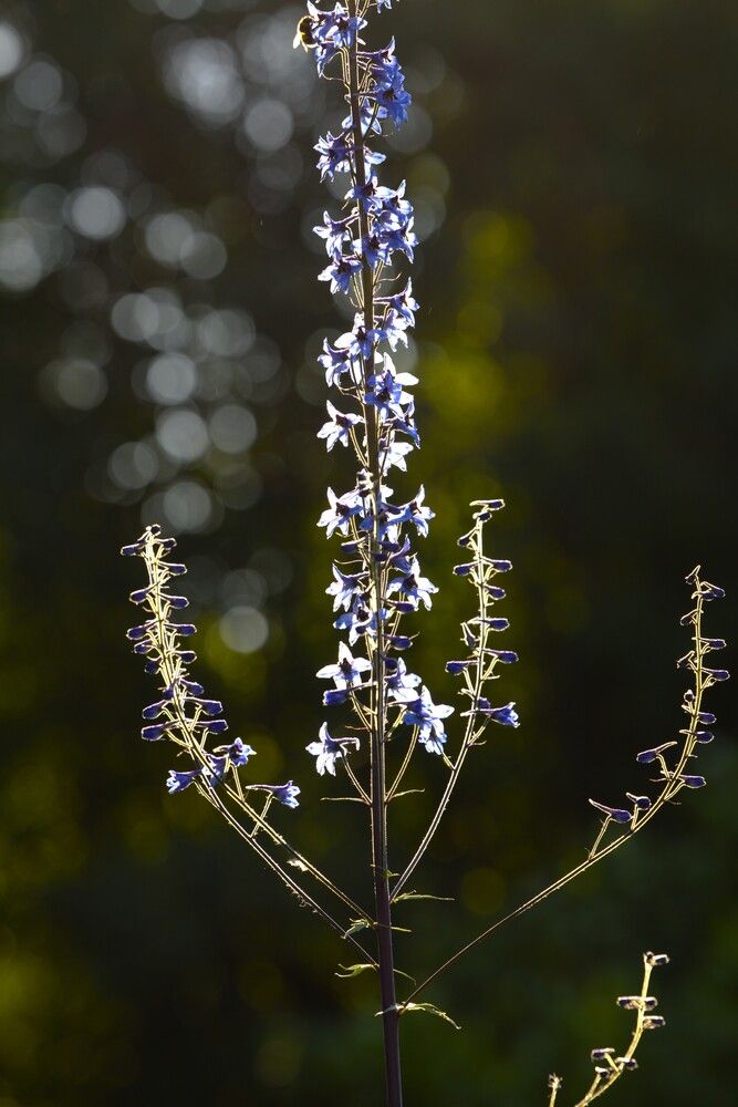 Фотография автора Natalia Kuzmina