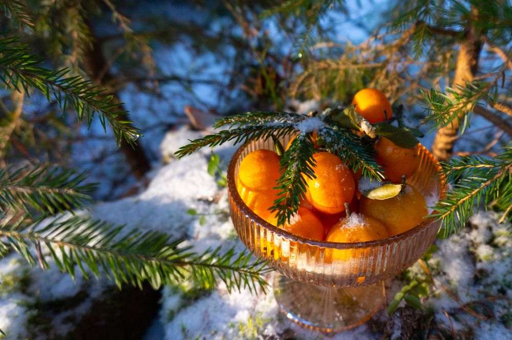 Photograph by Нина Малютина