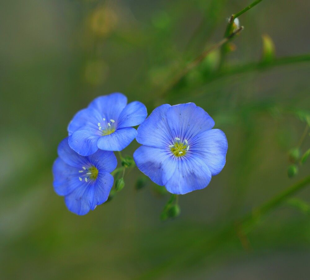 Фотография автора Natalia Kuzmina