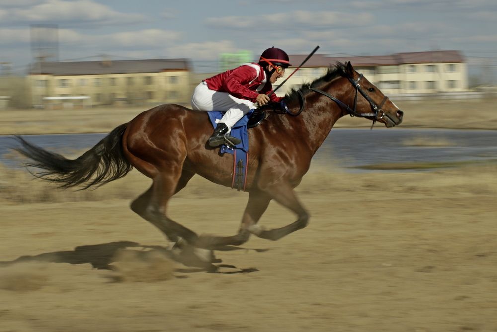 Photograph by Александр Велигура