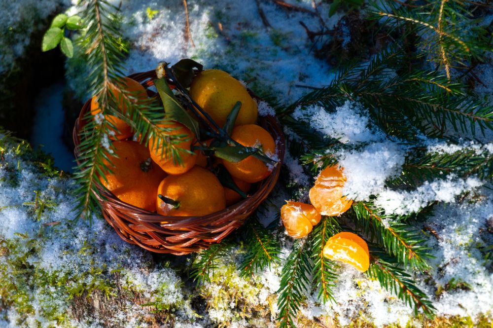 Photograph by Нина Малютина