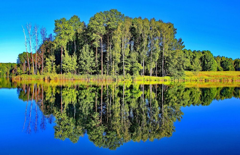 Photograph by Виталий Симоненков