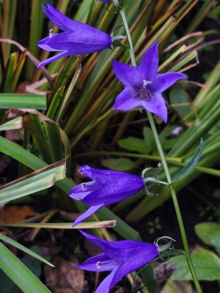 Photograph by Янина Милош