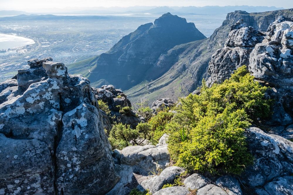 Фотография автора Татьяна