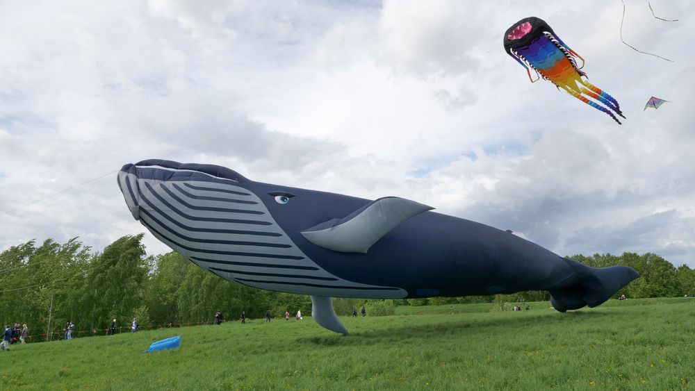 Photograph by николай зайцев