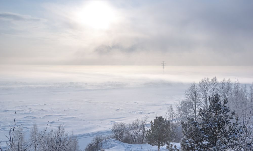 Photograph by Mark Devender