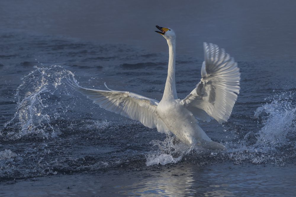Photograph by Евгений Санин