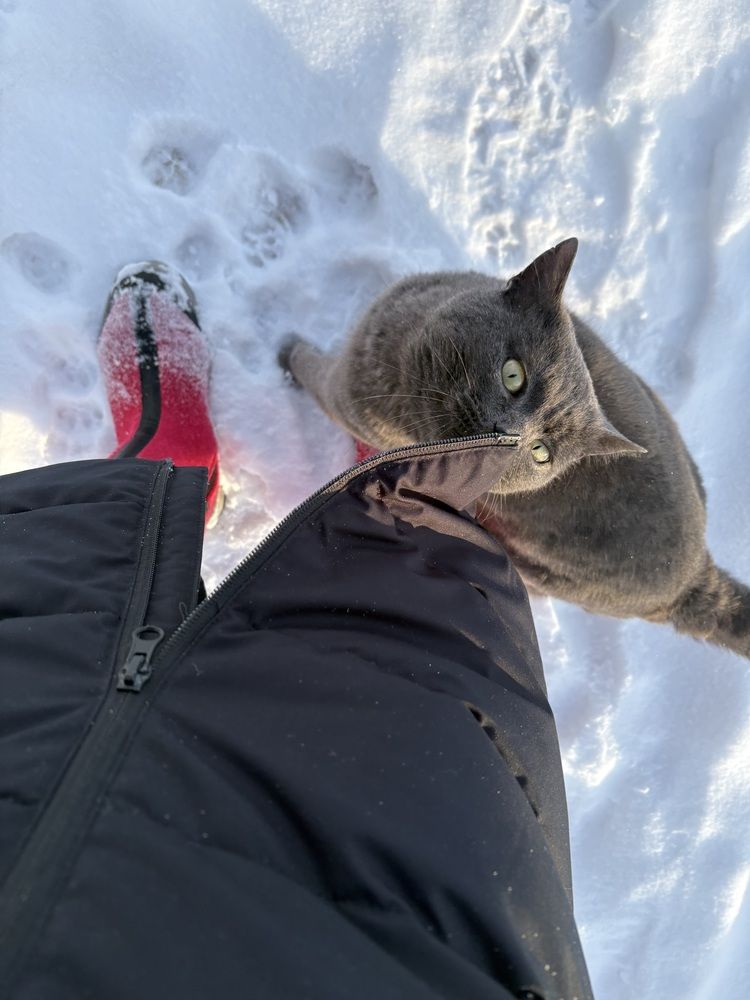 Фотография автора Catherine Shashkova