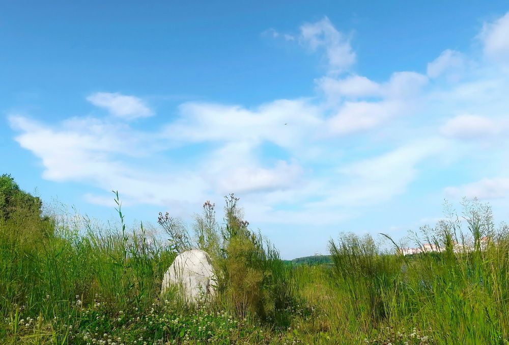 Photograph by Нина