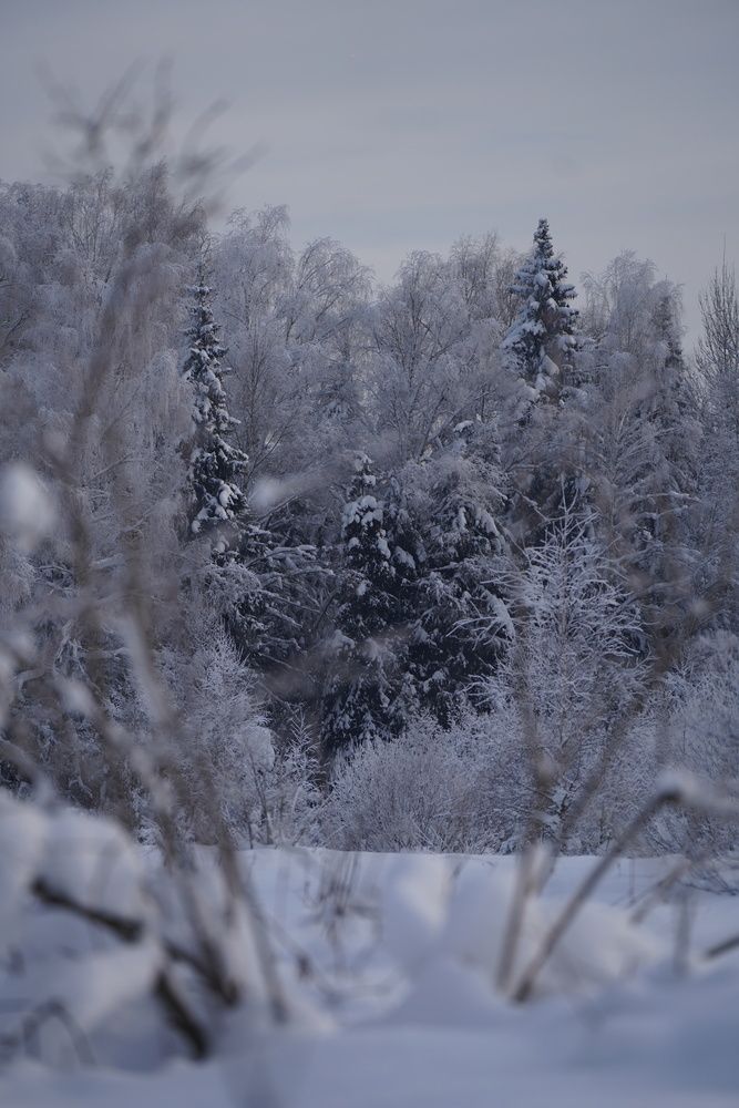 Photograph by Марина Аникина