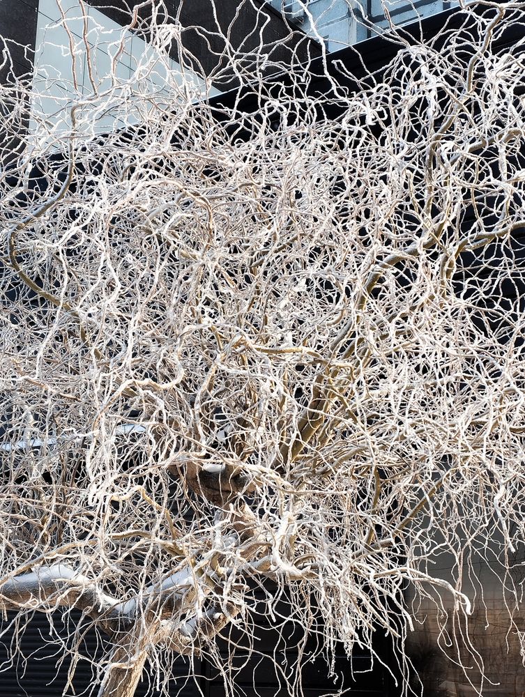 Photograph by Ольга Салтыкова