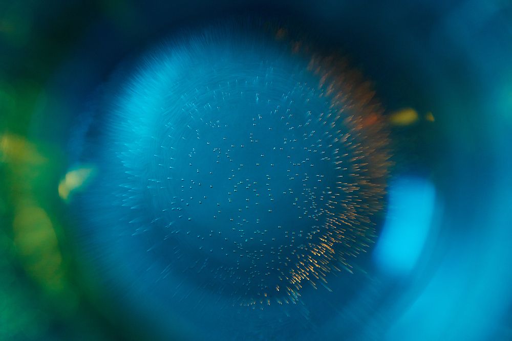 Фотография автора Prometej