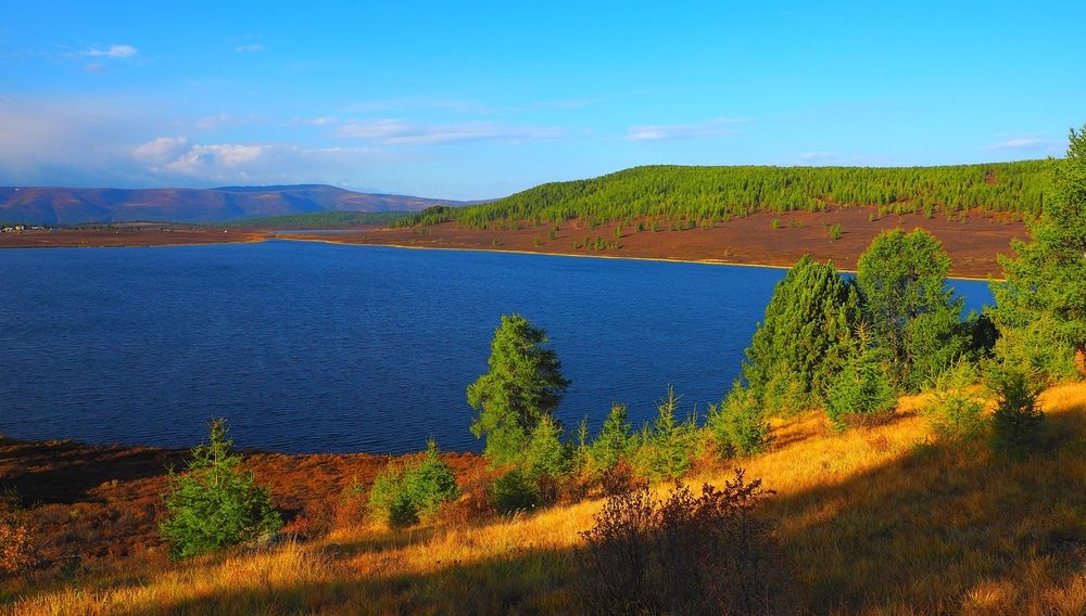 Photograph by ANDREY PERESHEIN