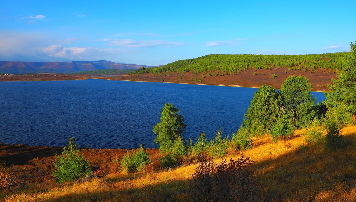 Фотография #13183833