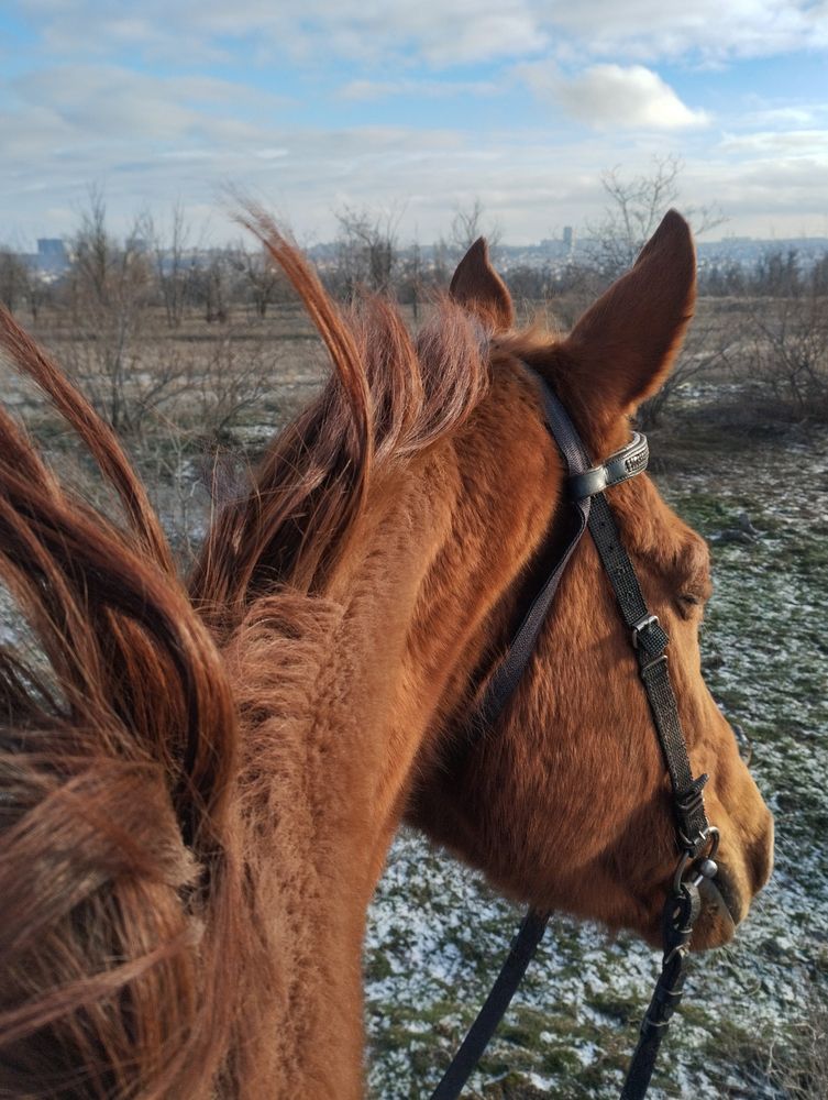 Photograph by Ольга Салтыкова