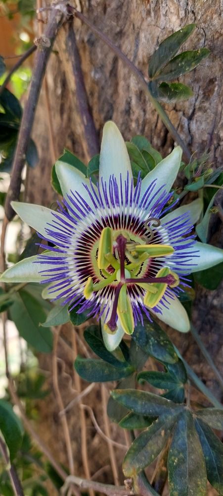 Photograph by Sedef Onum