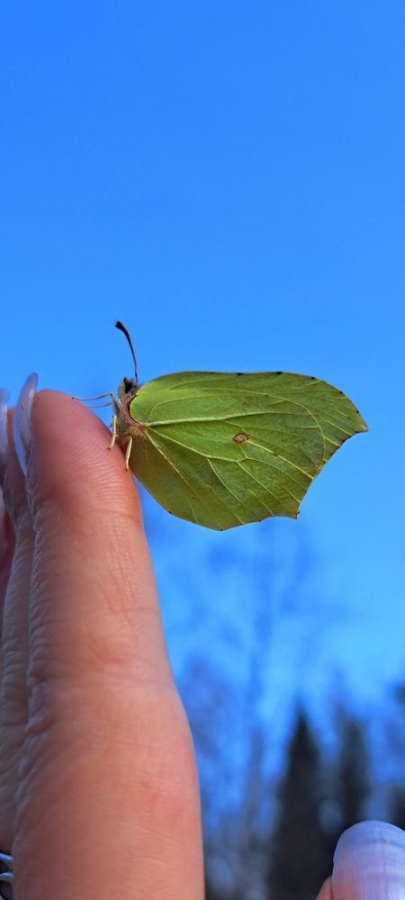 Photograph by Галина Перепечаева