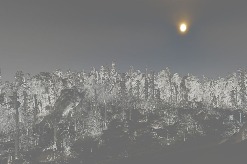 Photograph by Каргин Валерий