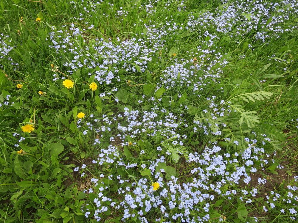 Photograph by Николай Горбачёв