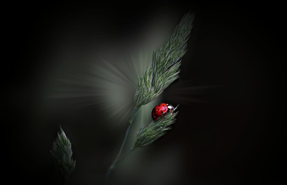 Фотография автора Sergey