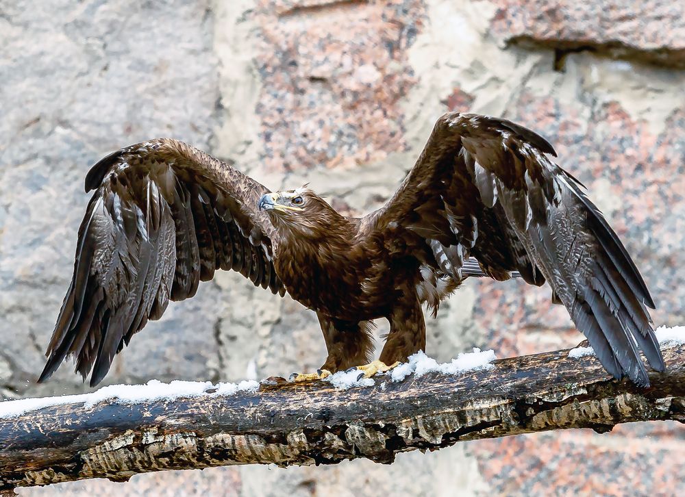 Фотография автора Dmitriy Frost