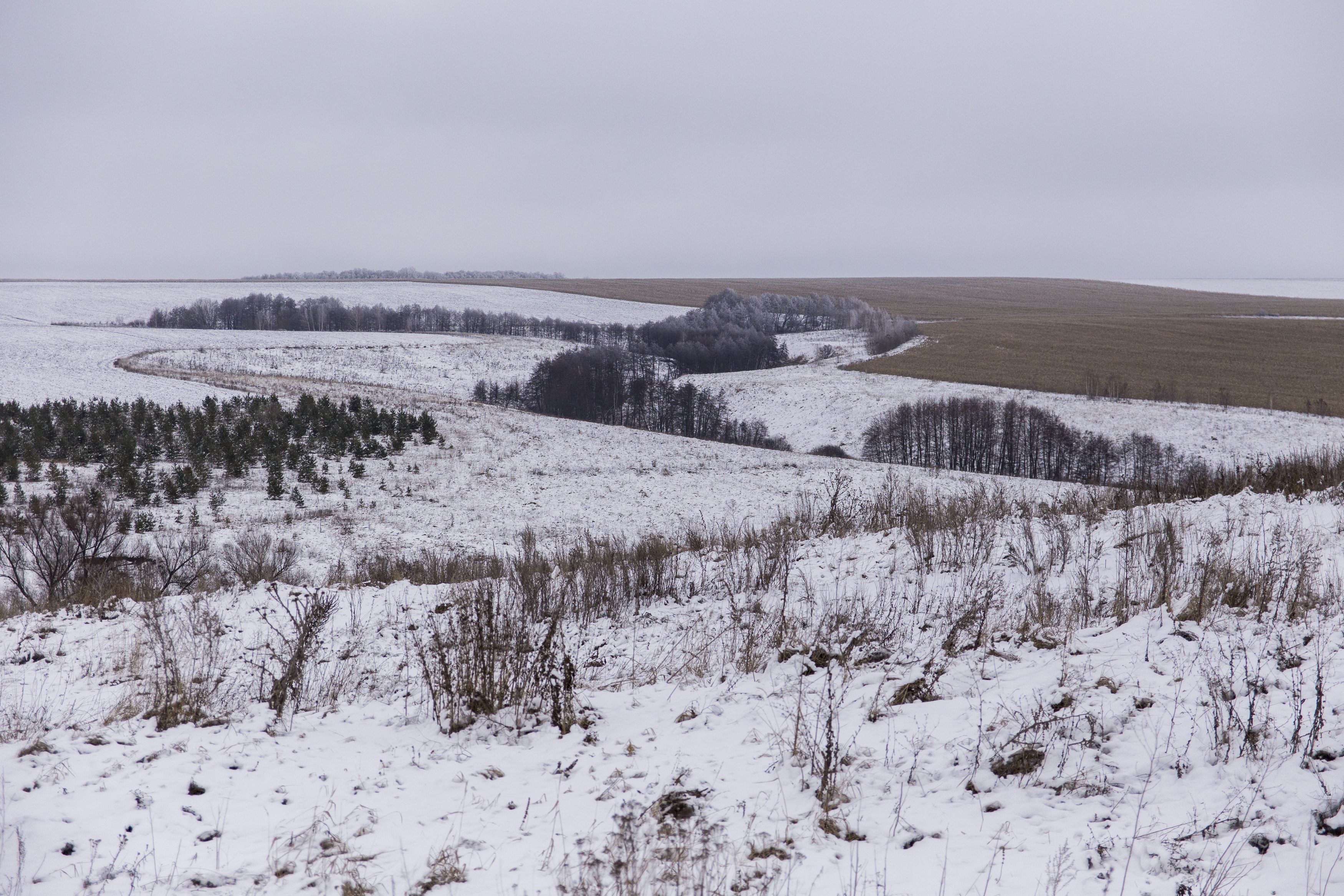 Фотография автора Лариса Видинеева