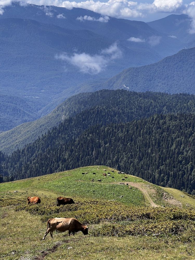 Фотография автора Полина Ишкина