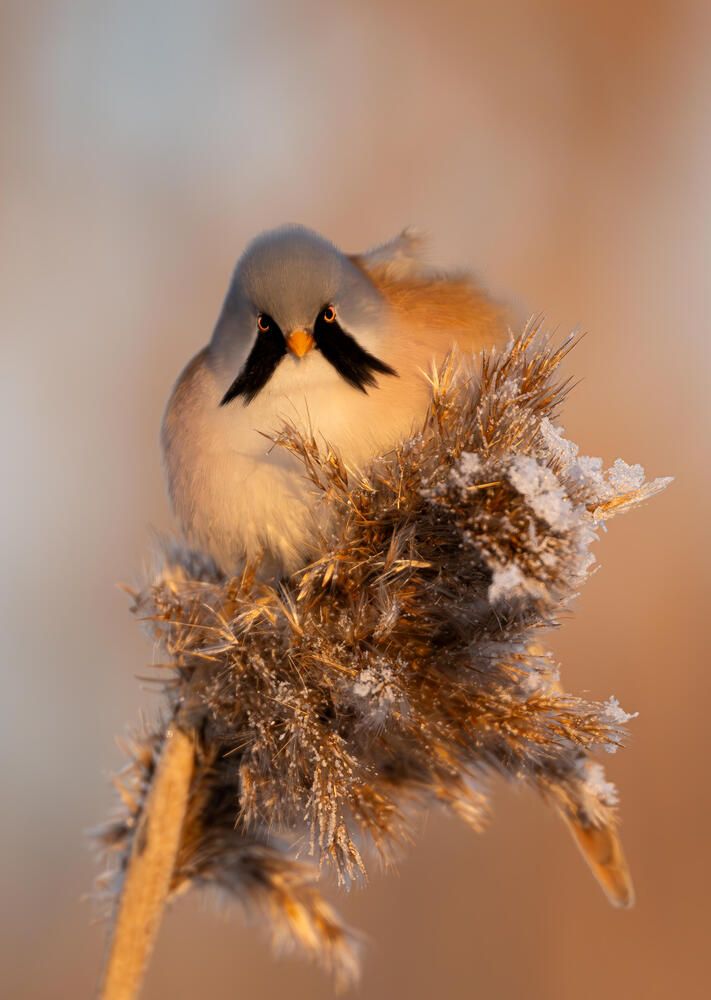 Photograph by Белов Александр