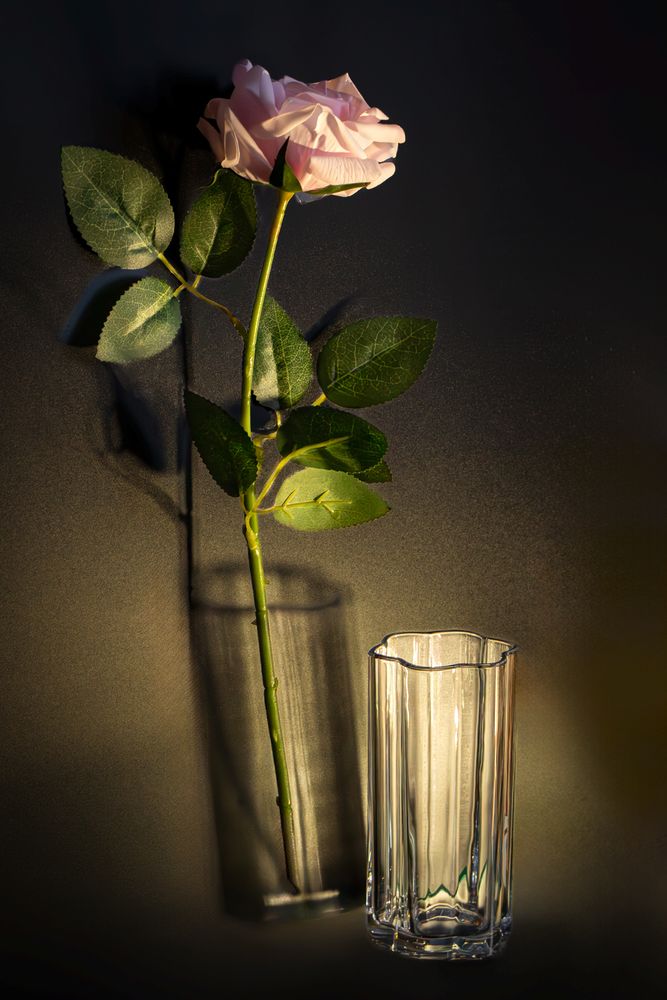 Photograph by Надежда Хрусталёва