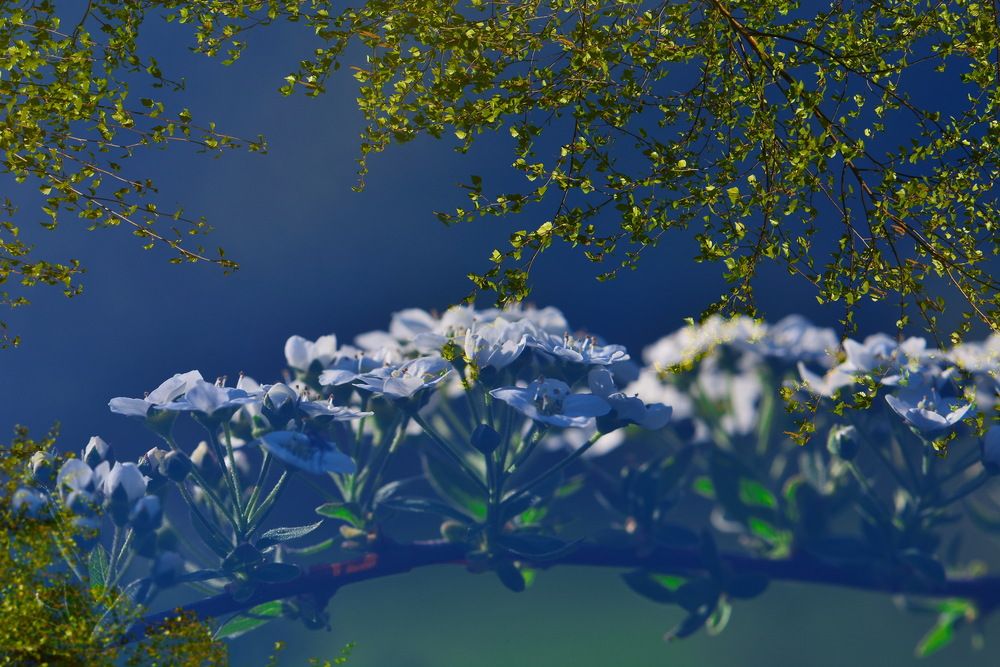 Фотография автора Риганов Борис